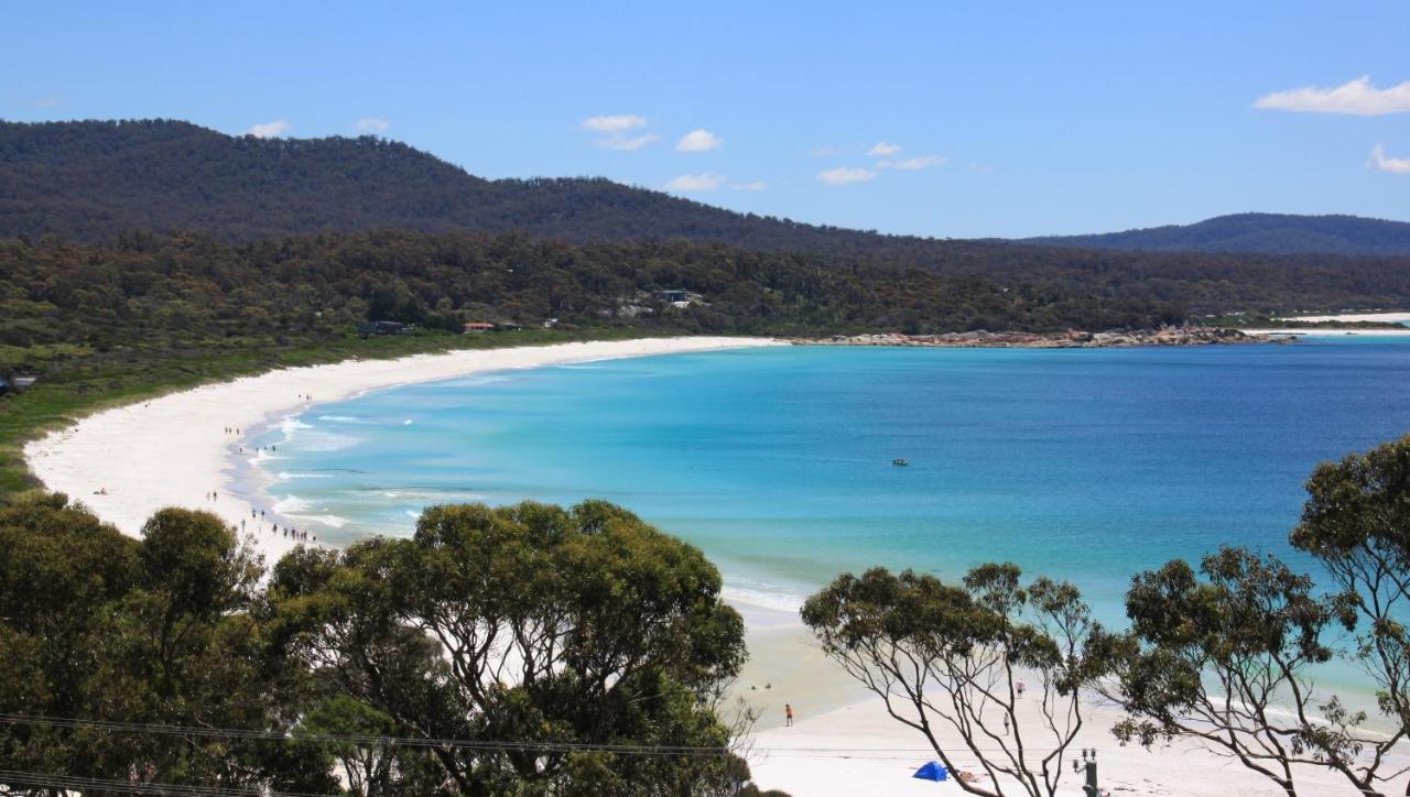 Sea Eagle Cottage Amazing Views Of Bay Of Fires Binalong Bay Екстер'єр фото