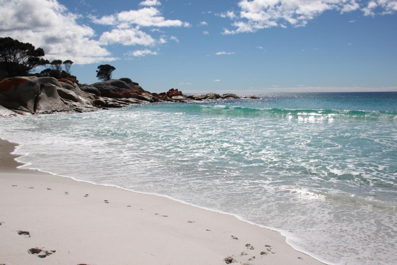 Sea Eagle Cottage Amazing Views Of Bay Of Fires Binalong Bay Екстер'єр фото